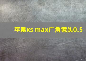 苹果xs max广角镜头0.5